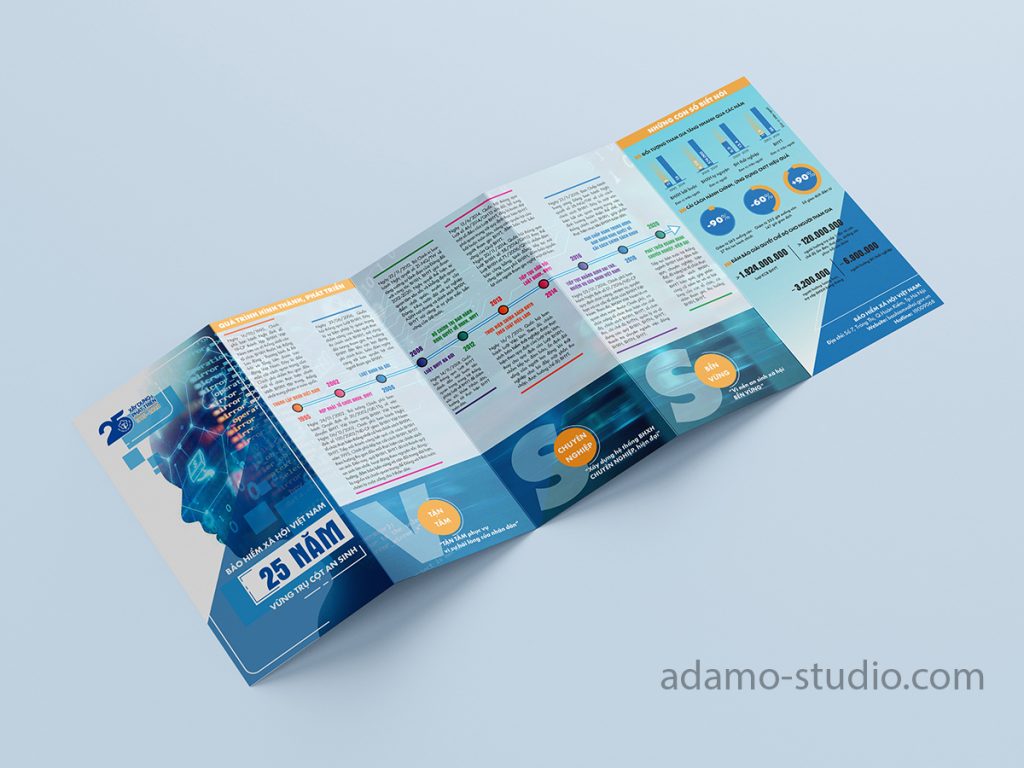 infographic brochure